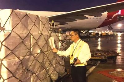 堅定理想信念 注重實干擔當——記浦東裝卸服務中心區域經理凌永明