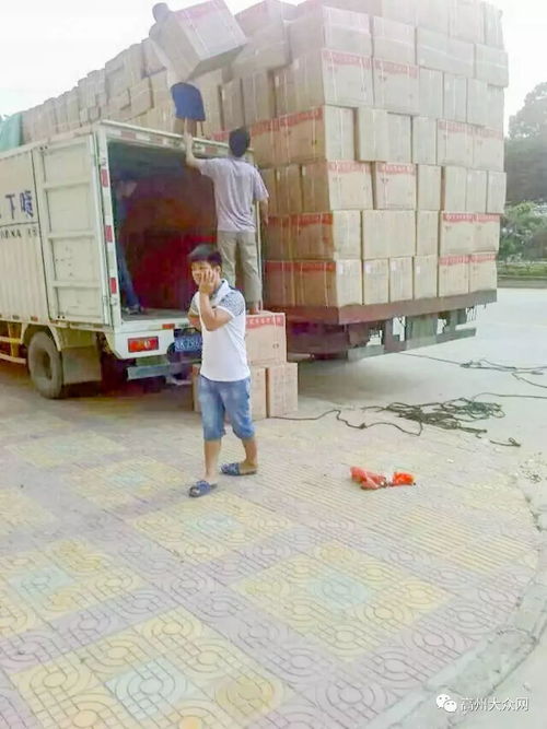 高州市環(huán)華裝卸服務(wù)部 以專(zhuān)業(yè)搬運(yùn)裝卸與一流打包服務(wù)，樹(shù)立行業(yè)標(biāo)桿