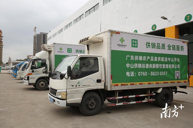 廣東供銷(xiāo)農(nóng)產(chǎn)品直供配送中山服務(wù)中心開(kāi)業(yè)，一站式打包服務(wù)助力農(nóng)產(chǎn)品高效流通